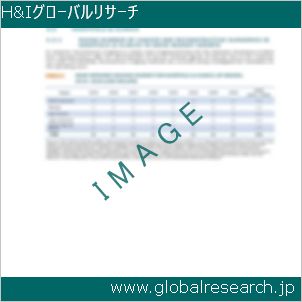 グローバルリサーチ調査レポートのイメージ